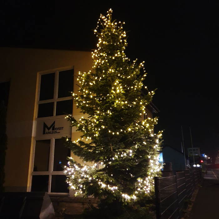 Weihnachtsbau vor dem Firmengebäude